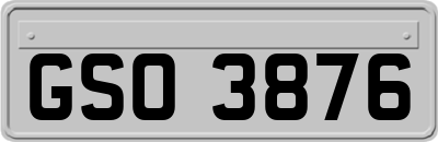 GSO3876