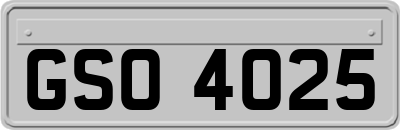 GSO4025