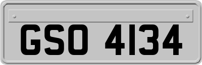GSO4134