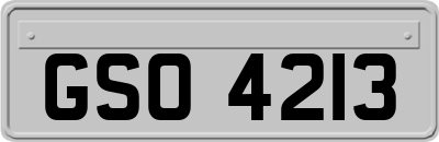 GSO4213