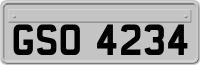 GSO4234