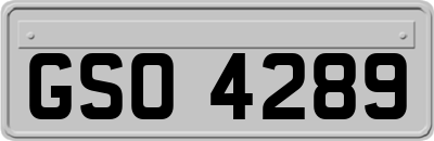 GSO4289