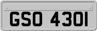 GSO4301