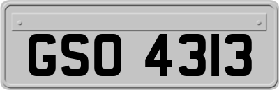 GSO4313