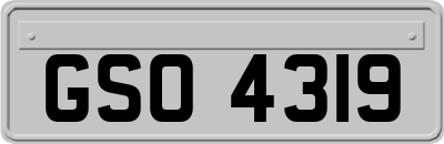 GSO4319
