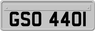 GSO4401