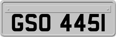 GSO4451