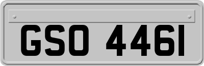 GSO4461
