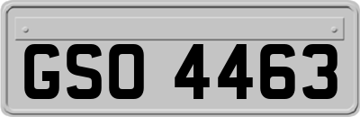 GSO4463
