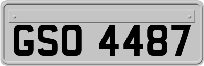 GSO4487