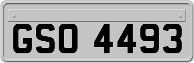 GSO4493