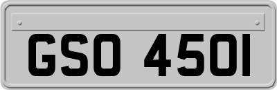 GSO4501