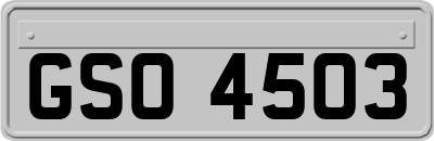 GSO4503