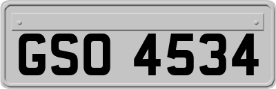 GSO4534