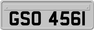 GSO4561