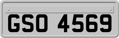GSO4569