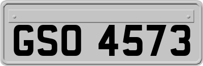 GSO4573