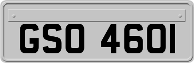 GSO4601