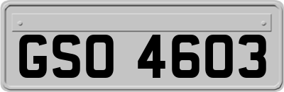 GSO4603