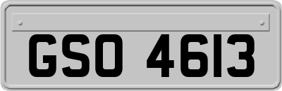 GSO4613