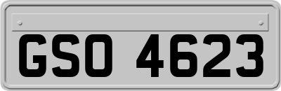 GSO4623