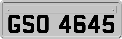 GSO4645