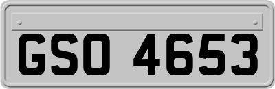 GSO4653