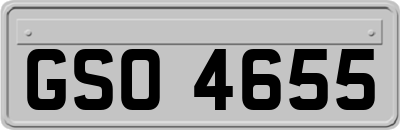 GSO4655