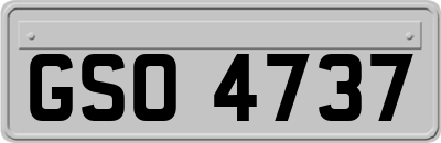 GSO4737