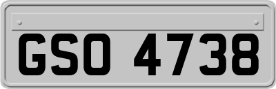GSO4738