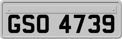 GSO4739