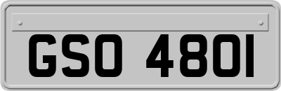 GSO4801