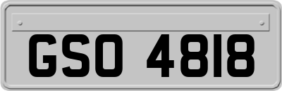 GSO4818