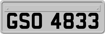 GSO4833