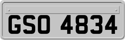 GSO4834