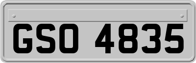 GSO4835