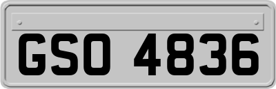 GSO4836