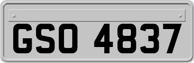 GSO4837