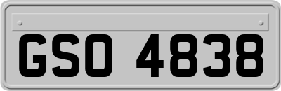 GSO4838