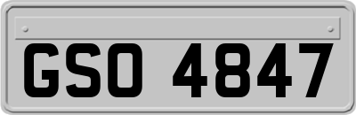 GSO4847