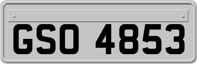 GSO4853