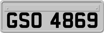 GSO4869