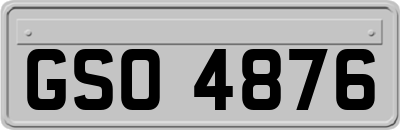GSO4876