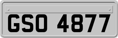 GSO4877