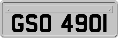 GSO4901