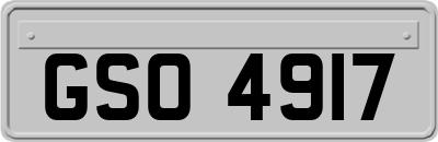 GSO4917