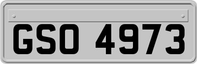 GSO4973