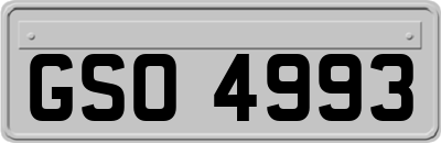 GSO4993