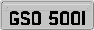 GSO5001