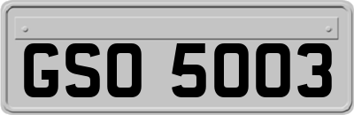 GSO5003